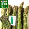 北海道より産地直送 赤井川村滝本農場の有機JAS夏芽グリーンアスパラ「カルデラの貴公子」Mサイズ以上混合 約1キロ入り 送料無料 アスパラガス ※クール便発送