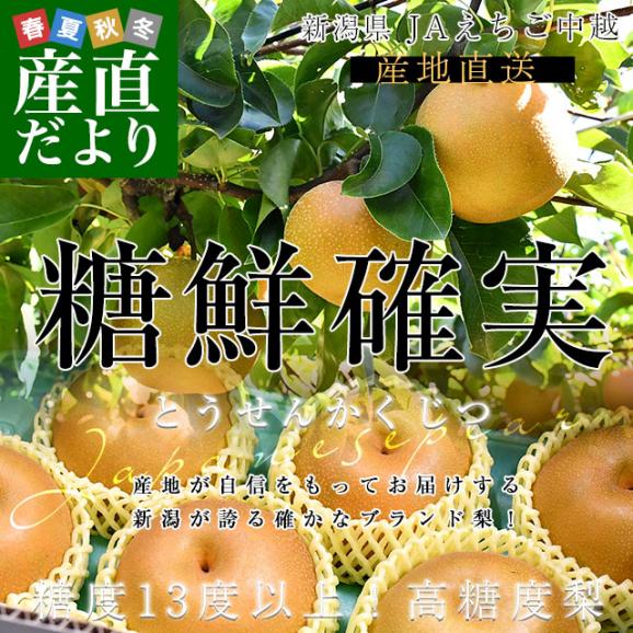 新潟県より産地直送 JAえちご中越 高糖度梨「糖鮮確実 (とうせんかくじつ)」 糖度13度以上 優品以上 約５キロ (9玉から14玉) なし ナシ 送料無料02