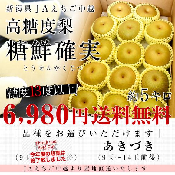 新潟県より産地直送 JAえちご中越 高糖度梨「糖鮮確実 (とうせんかくじつ)」 糖度13度以上 優品以上 約５キロ (9玉から14玉) なし ナシ 送料無料03