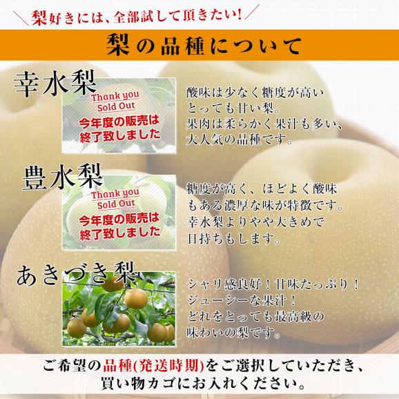 新潟県より産地直送 JAえちご中越 高糖度梨「糖鮮確実 (とうせんかくじつ)」 糖度13度以上 優品以上 約５キロ (9玉から14玉) なし ナシ 送料無料06