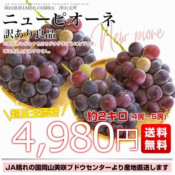 岡山県より産地直送 JA晴れの国岡山 津山支所 訳あり良品 ニューピオーネ 約2キロ(4房から5房)送料無料 ブドウ ぶどう クール便03
