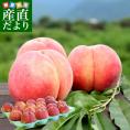 長野県県より産地直送 JAながの桃（川中島白桃他）秀品 約5キロ (13玉から18玉) 送料無料 クール便 もも モモ