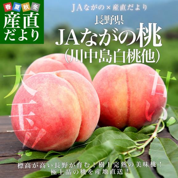 長野県県より産地直送 JAながの桃（川中島白桃他）秀品 約5キロ (13玉から18玉) 送料無料 クール便 もも モモ02