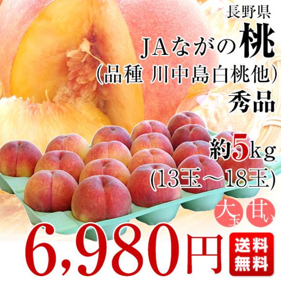 長野県県より産地直送 JAながの桃（川中島白桃他）秀品 約5キロ (13玉から18玉) 送料無料 クール便 もも モモ03