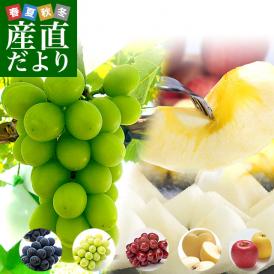 JAながの 産地直送　果物頒布会（ぶどう・梨・りんご　9月から12月まで4回お届け） 送料無料