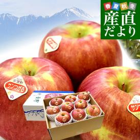 長野県産 JAあづみ 安曇野 サンつがるりんご 優品以上 約3キロ 大玉（8玉から10玉）林檎 りんご 送料無料 クール便