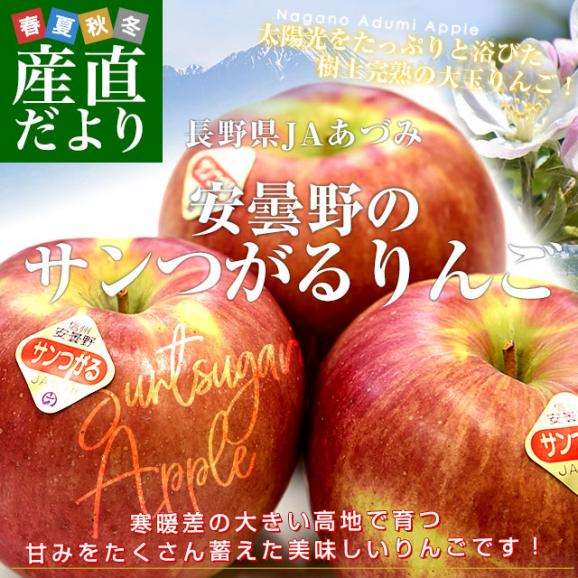 長野県産 JAあづみ 安曇野 サンつがるりんご 優品以上 約3キロ 大玉（8玉から10玉）林檎 りんご 送料無料 クール便02