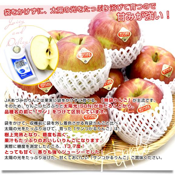 長野県産 JAあづみ 安曇野 サンつがるりんご 優品以上 約3キロ 大玉（8玉から10玉）林檎 りんご 送料無料 クール便04