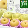 鳥取県産 JA全農鳥取 梨食べ比べセット 約2キロ 6玉入り(新甘泉、二十世紀×各種3玉）送料無料 なし ナシ 和梨 赤梨 青梨 詰め合わせ