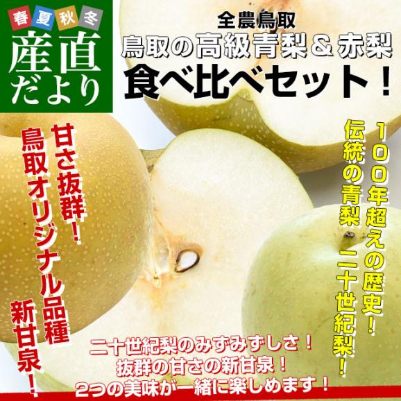 鳥取県産 JA全農鳥取 梨食べ比べセット 約1.8キロ 6玉入り(新甘泉、二十世紀×各種3玉）送料無料 なし 赤梨 青梨 詰め合わせ02