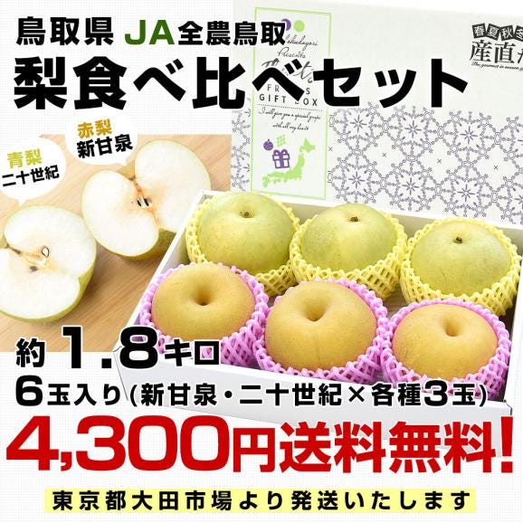 鳥取県産 JA全農鳥取 梨食べ比べセット 約1.8キロ 6玉入り(新甘泉、二十世紀×各種3玉）送料無料 なし 赤梨 青梨 詰め合わせ03