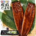 鹿児島県志布志産 山田水産 霧島湧水うなぎ 長蒲焼き 大サイズ2尾セット（140g前後×2尾）送料無料 鰻師 加藤尚武さん 鰻 ウナギ シーフード ギフト クール冷凍便