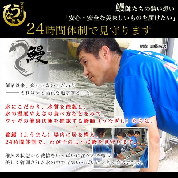 鹿児島県志布志産 山田水産 霧島湧水うなぎ 長蒲焼き 大サイズ2尾セット（140g前後×2尾）送料無料 鰻師 加藤尚武さん 鰻 ウナギ シーフード ギフト クール冷凍便05