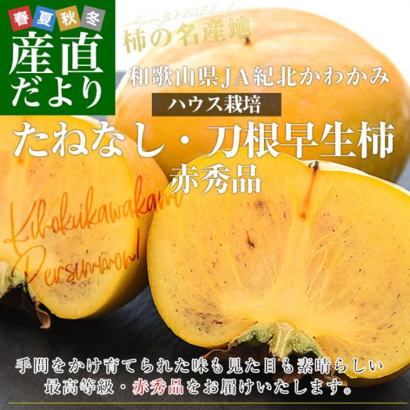 和歌山県 JA紀北かわかみ ハウス栽培 刀根早生柿 最高等級：赤秀品 約2キロ(8玉から10玉入り) 送料無料 柿 かき 温室 ハウス栽培 市場発送 クール便02