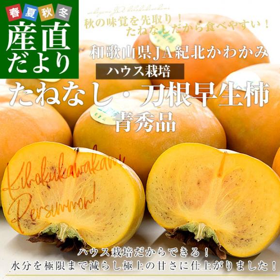 和歌山県 JA紀北かわかみ ハウス栽培 刀根早生柿 青秀品 約2キロ(8玉から10玉入り) 送料無料 柿 かき 温室 ハウス栽培 市場発送 クール便02