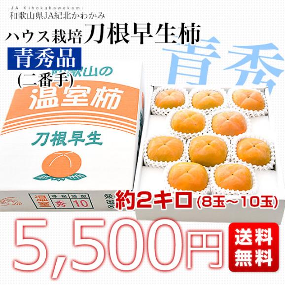 和歌山県 JA紀北かわかみ ハウス栽培 刀根早生柿 青秀品 約2キロ(8玉から10玉入り) 送料無料 柿 かき 温室 ハウス栽培 市場発送 クール便03