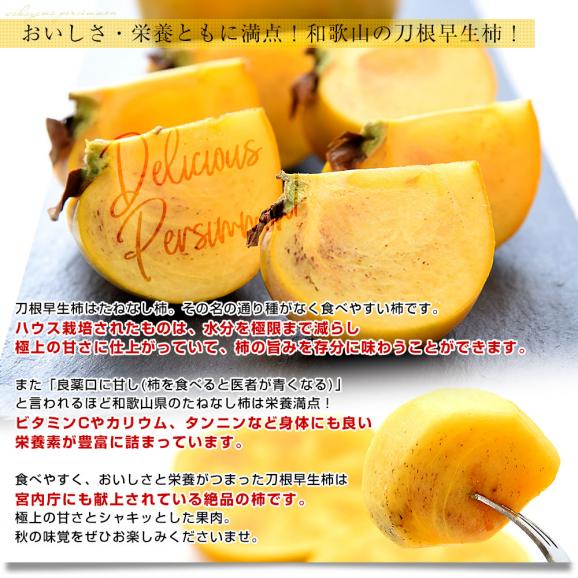 和歌山県 JA紀北かわかみ ハウス栽培 刀根早生柿 青秀品 約2キロ(8玉から10玉入り) 送料無料 柿 かき 温室 ハウス栽培 市場発送 クール便05