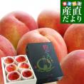 山梨県 JAフルーツ山梨 大藤支所 大藤の特秀桃「粒ぞろい」 約1.8キロ (5玉から6玉) 品種：さくら白桃　送料無料 桃 もも 市場発送 クール便