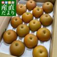 熊本県産　JAやつしろ　吉野梨（あきづき）大玉秀品5キロ（10玉から16玉）なし　ナシ　送料無料　市場発送