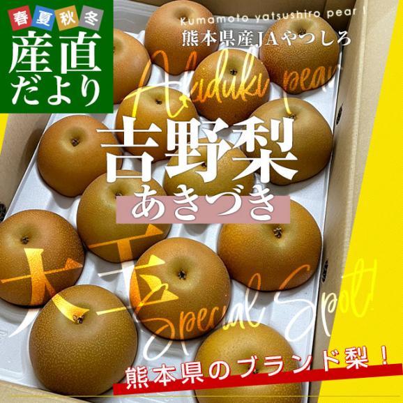 熊本県産　JAやつしろ　吉野梨（あきづき）大玉秀品5キロ（10玉から16玉）なし　ナシ　送料無料　市場発送02