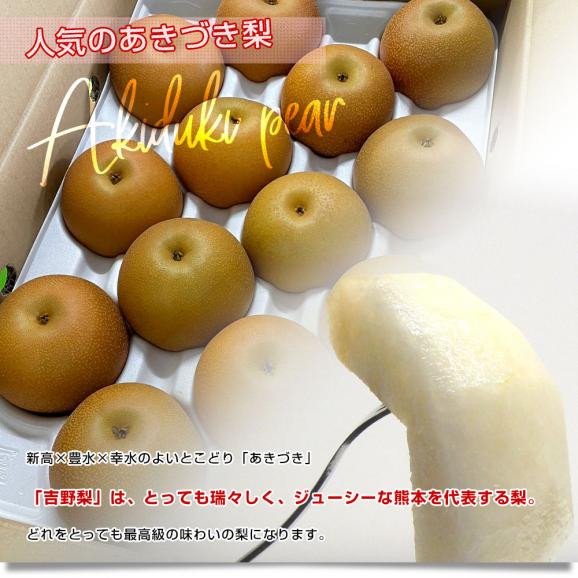 熊本県産　JAやつしろ　吉野梨（あきづき）大玉秀品5キロ（10玉から16玉）なし　ナシ　送料無料　市場発送05