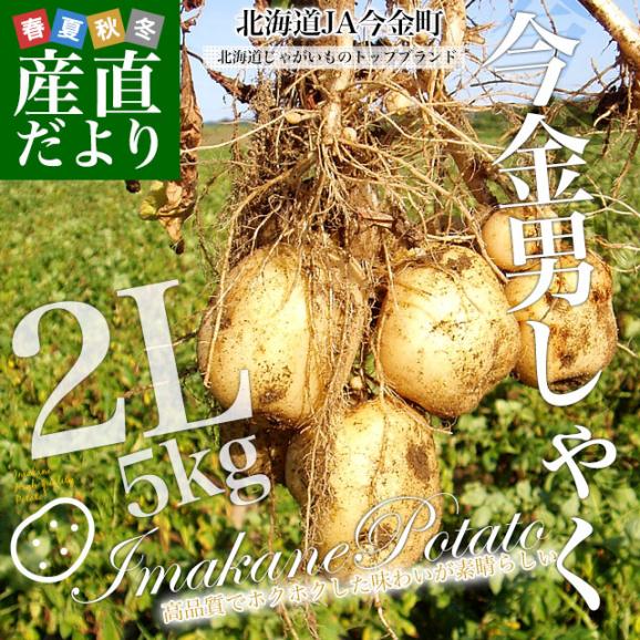 北海道産 JA今金町 じゃがいも 今金男爵 2Lサイズ 約5キロ（22玉前後） 送料無料 馬鈴薯 ジャガイモ 芋 市場スポット02