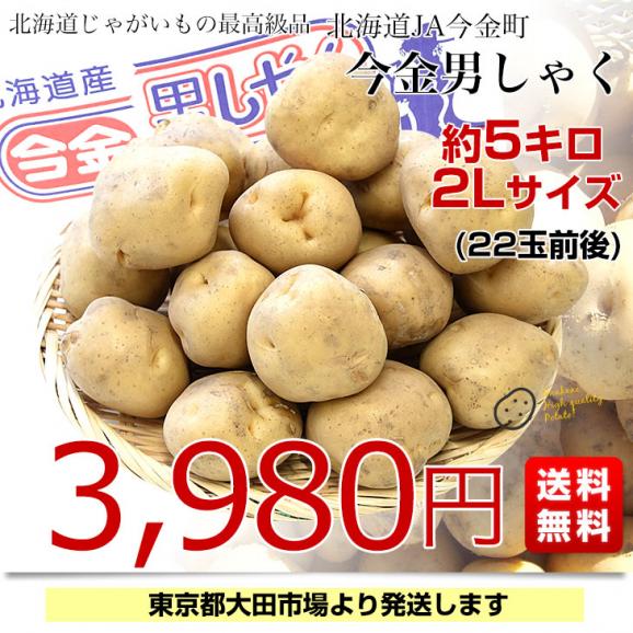 北海道産 JA今金町 じゃがいも 今金男爵 2Lサイズ 約5キロ(22玉前後入り)　送料無料 馬鈴薯 ジャガイモ 芋 男爵芋03