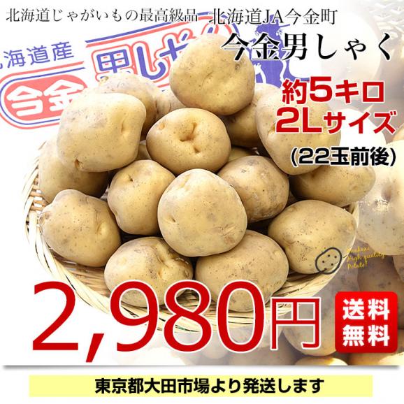 北海道産 JA今金町 じゃがいも 今金男爵 2Lサイズ 約5キロ（22玉前後） 送料無料 馬鈴薯 ジャガイモ 芋 市場スポット03
