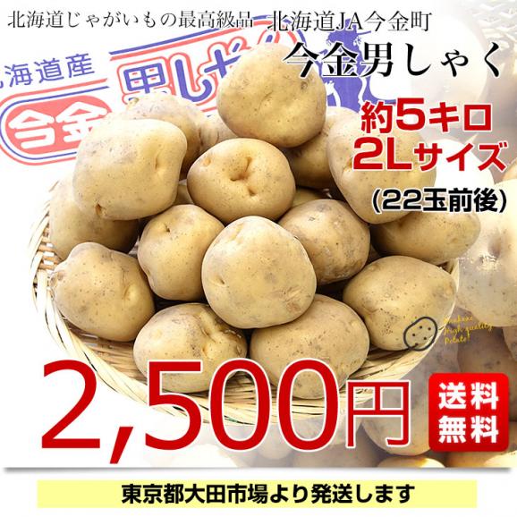 北海道産 JA今金町 じゃがいも 今金男爵 2Lサイズ 約5キロ(22玉前後入り)　送料無料 馬鈴薯 ジャガイモ 芋 男爵芋03