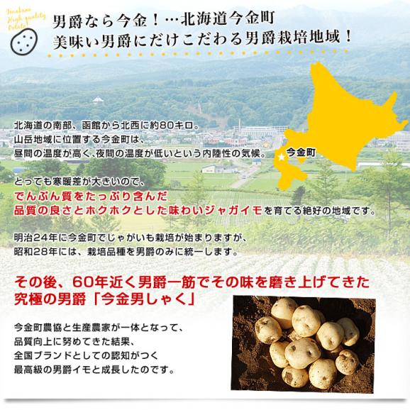 北海道産 JA今金町 じゃがいも 今金男爵 2Lサイズ 約5キロ（22玉前後） 送料無料 馬鈴薯 ジャガイモ 芋 市場スポット04