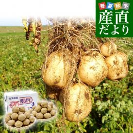 北海道産 JA今金町 じゃがいも 今金男爵 Mサイズ 約5キロ（55玉前後入り） 送料無料 馬鈴薯 ジャガイモ 芋 男爵芋