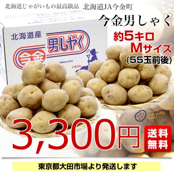 北海道産 JA今金町 じゃがいも 今金男爵 Mサイズ 約5キロ(55玉前後入り) 送料無料 馬鈴薯 ジャガイモ 芋 男爵芋03