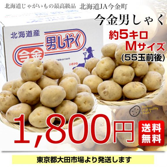 北海道産 JA今金町 じゃがいも 今金男爵 Mサイズ 約5キロ（55玉前後入り） 送料無料 馬鈴薯 ジャガイモ 芋 男爵芋03