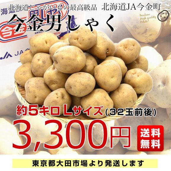 北海道産 JA今金町 じゃがいも 今金男爵 Lサイズ 約5キロ(32玉前後入り)　送料無料 馬鈴薯 ジャガイモ 芋 男爵芋03