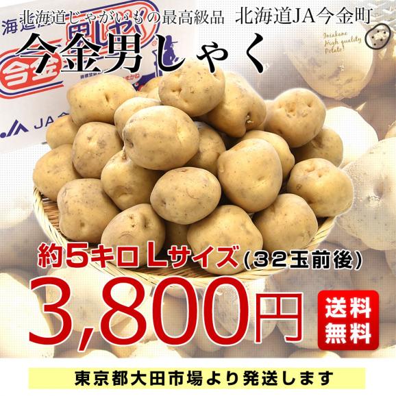 北海道産 JA今金町 じゃがいも 今金男爵 Lサイズ 約5キロ(32玉前後入り)　送料無料 馬鈴薯 ジャガイモ 芋 男爵芋03