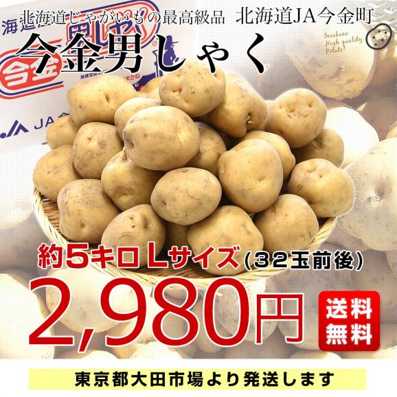 北海道産 JA今金町 じゃがいも 今金男爵 Lサイズ 約5キロ(32玉前後入り)　送料無料 馬鈴薯 ジャガイモ 芋 男爵芋03