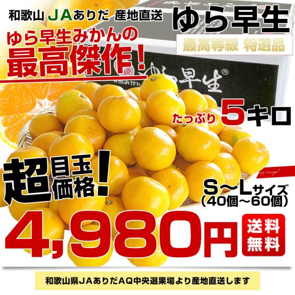 和歌山県より産地直送 JAありだ ゆら早生みかん 5キロ特選 SからLサイズ みかん ミカン 早生みかん03