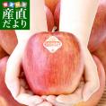 長野県産 JAあづみ 安曇野 シナノドルチェ 約3キロ （10玉から12玉）林檎 りんご 送料無料 市場発送