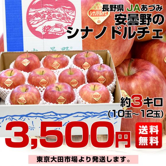長野県産 JAあづみ 安曇野 シナノドルチェ 約3キロ （10玉から12玉）林檎 りんご 送料無料 市場発送03
