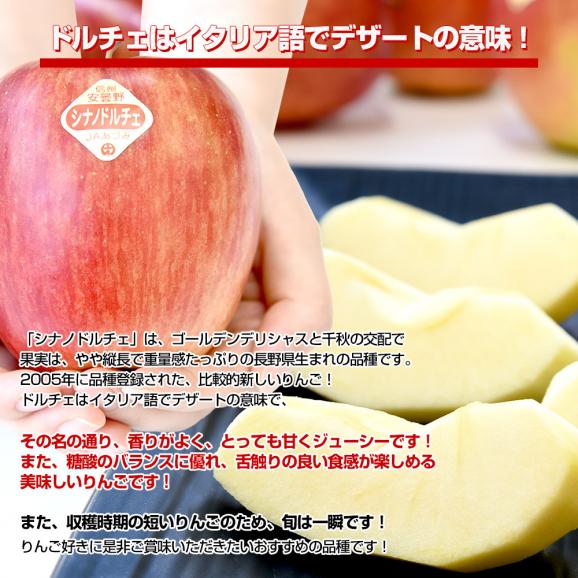 長野県産 JAあづみ 安曇野 シナノドルチェ 約3キロ （10玉から12玉）林檎 りんご 送料無料 市場発送05