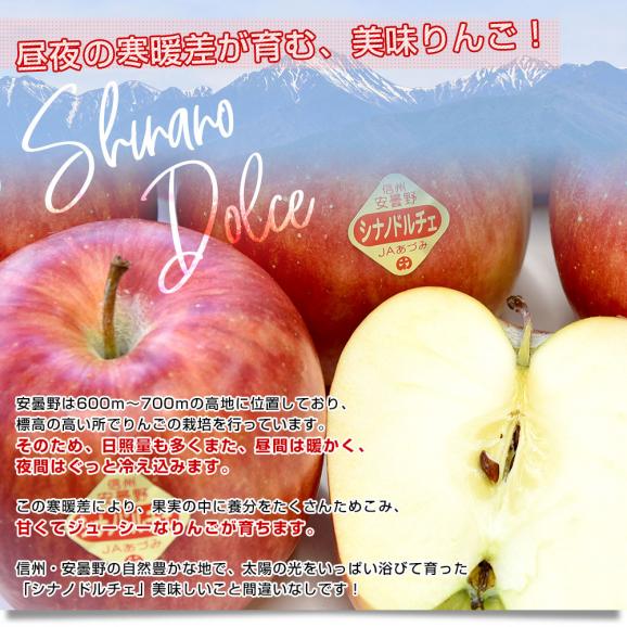 長野県産 JAあづみ 安曇野 シナノドルチェ 約3キロ （10玉から12玉）林檎 りんご 送料無料 市場発送06