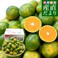 熊本県 JA熊本果実連 極早生みかん「肥のあかり」 約5キロ 2Sサイズ（85玉前後） 送料無料 蜜柑 ミカン