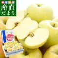 長野県産 JAあづみ 安曇野 ご家庭向け トキ 約3キロ （8玉から12玉） 送料無料 りんご 林檎 市場発送