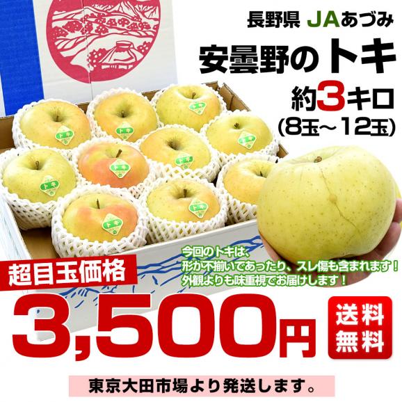 長野県産 JAあづみ 安曇野 ご家庭向け トキ 約3キロ （8玉から12玉） 送料無料 りんご 林檎 市場発送03