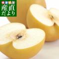 長野県より産地直送 JAながの 南水(なんすい) 秀品 約5キロ (8玉から14玉) 送料無料 なし 梨 ナシ