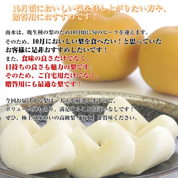 長野県より産地直送 JAながの 南水(なんすい) 秀品 約5キロ (8玉から14玉) 送料無料 なし 梨 ナシ05