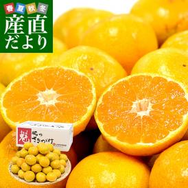 熊本県 JA熊本果実連 肥のさきがけ 約5キロ Sサイズ（60玉前後） 送料無料 蜜柑 ミカン