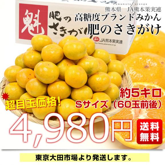 熊本県 JA熊本果実連 肥のさきがけ 約5キロ Sサイズ（60玉前後） 送料無料 蜜柑 ミカン03