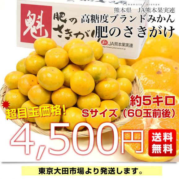 熊本県 JA熊本果実連 肥のさきがけ 約5キロ Sサイズ（60玉前後） 送料無料 蜜柑 ミカン03