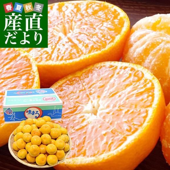 長崎県 JAながさき西海 味まる LからSサイズ 青秀以上 約5キロ 長崎県 JAながさき西海 味まる LからSサイズ 青秀以上 約5キロ